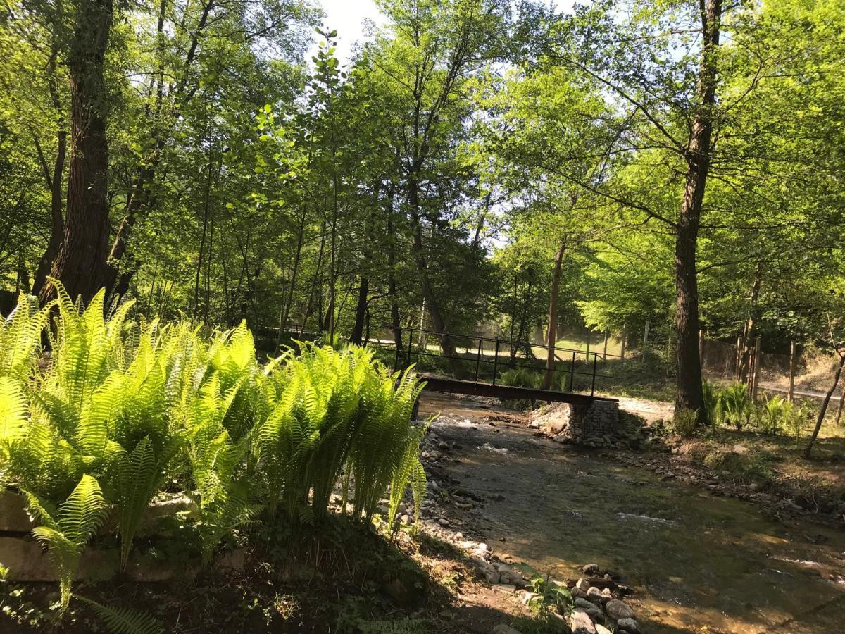 Pensiunea Valea Tonii Strungari Exterior foto