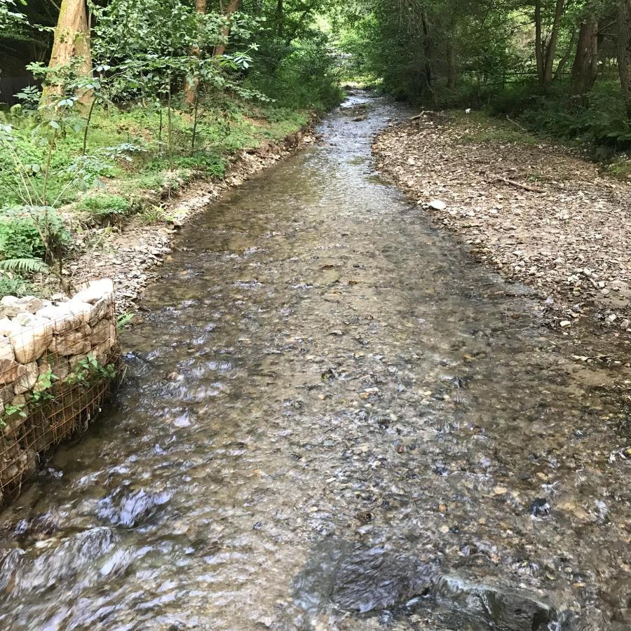 Pensiunea Valea Tonii Strungari Exterior foto